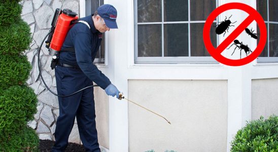 Karabük Böcek ve Haşere İlaçlama böcek ilaçlama ve haşere kontrolü — ilaclama-tr.com